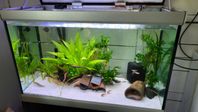 Akvarium akvastabil move 160 liters