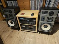 Sansui, Proton och Blaupunkt