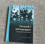 Dynamik i arbetsgrupper (nyskick)