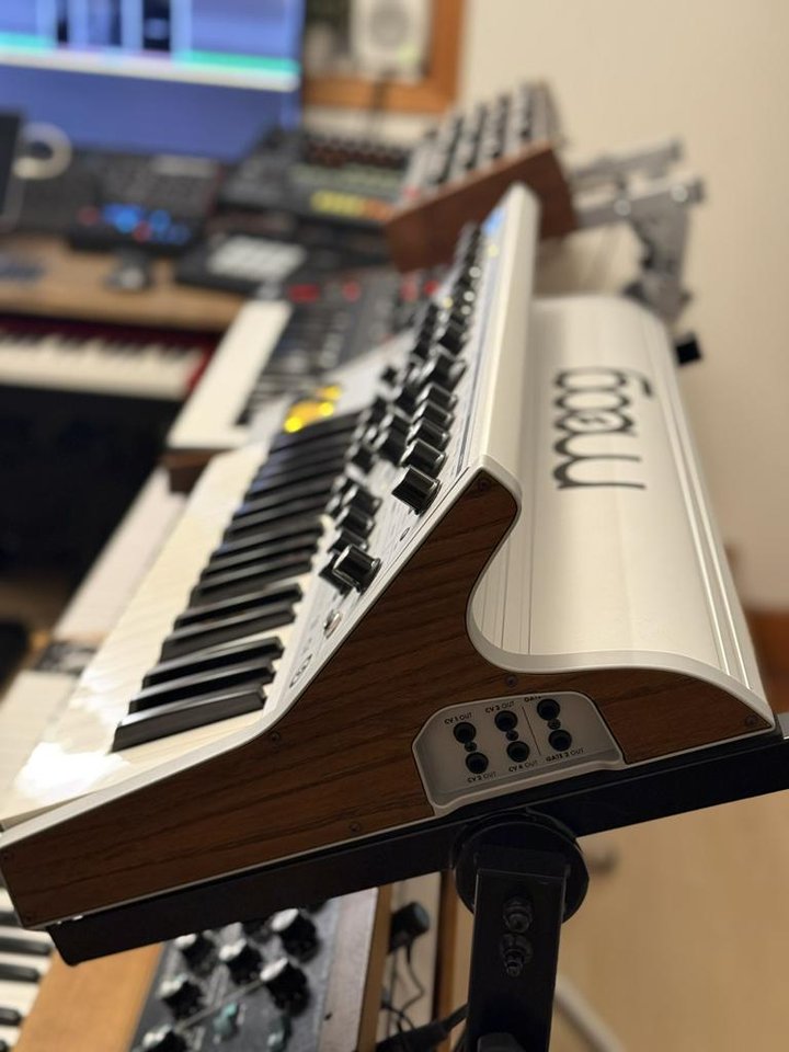 Moog Subsequent 37 CV