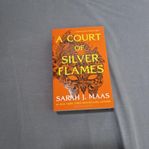 A court of silver flames