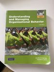 Understanding and managing organizational behavior