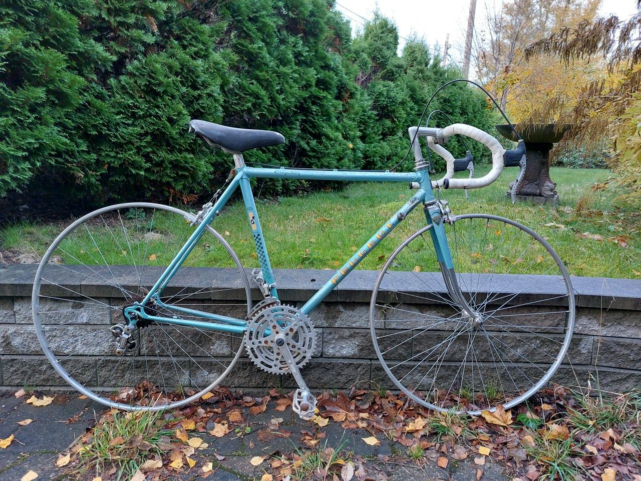 Peugeot Racer Vintage