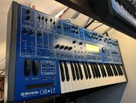 Oberheim OB12