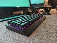 Blackwidow V3 Mini Hyperspeed [Razer Yellow]