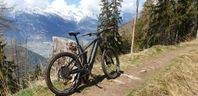 Cube Stereo Hybrid 160 HPC Race 625 Large 2021 e-MTB