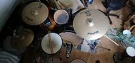 Pearl Export med Wuhan S-series 