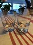 Krosno Whiskey glas 