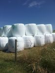 ensilage