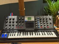 Moog Voyager Electric Blue