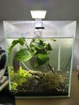 Akvarium Aqua El 10 L 