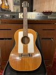 Gibson F25 Folksinger 1964