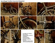 unik Skeppshult Fixed Gear