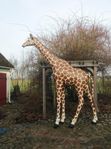 Giraff skulptur i naturlig storlek