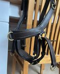 Micklem multibridle cob brunt