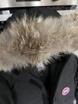 Canada Goose Expedition 