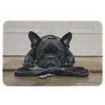 Mars & More french bulldog doormat