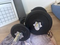 Dumbells (hantlar) och dipbar