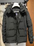 Authentic Canada Goose vinterjacka 