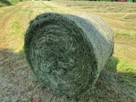 Ensilage/hösilage i rundbal 125 cm