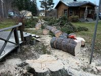 Trädfällning,stubbfräsning och trädgårdsskötsel ”