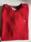 Lacoste sweatshirt man