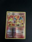 pokemon charizard reverse holo 