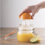 NY JUICEPRESS CITRUSPRESS KILNER GLASBURK förvaring juicer