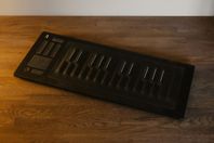 ROLI Seaboard RISE 25