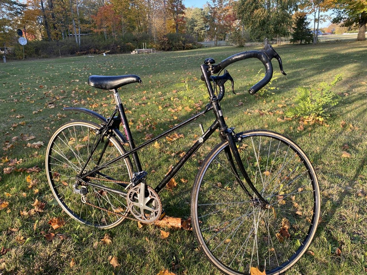 28” Centurion Super Mixte