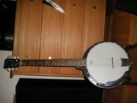 Tanglewood banjo