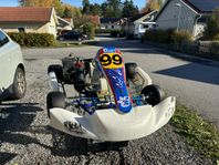 Gokart Energy Rotax Max Evo Senior