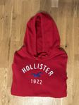 Hollister Hoodie