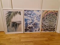 5 posters med ram (3 st 70*50 och 2 st 40*30)