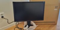 Eizo Flexscan EV2436W 