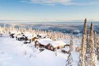 Önskas hyra stuga/lägenhet Trysil