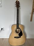 Acoustic Guitar Yamaha F310 and Cover