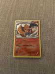 charizard   RC5/RC32