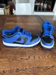 Nike Dunk Low Hyper Cobolt