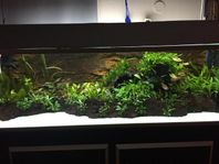 375L Akvarium/terrarium