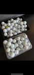 Titleist ProV1/Chromesoft 10kr/st Fina golfbollar 