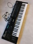 Yamaha DX7s