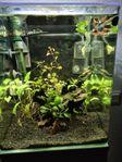 Nano akvarium Eheim Aquastyle 35