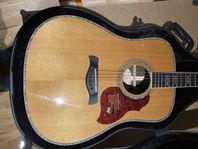 Richwood D-270-VA (Master Series Custom Shop Dreadnought)