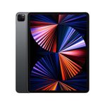 Ipad pro 12.9 generation ( 5 ) 2021+ Penna 