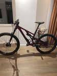 specialized stumpjumper evo