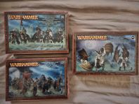 Warhammer Fantasy - Vampire Count Models