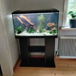 Komplett akvarium 120L med möbel