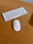 Magic Mouse och keyboard