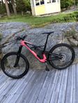 Specialized Enduro Elite mountainbike fint skick 